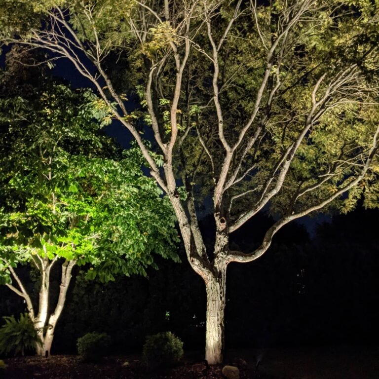 wilmington nc tree uplighting residential