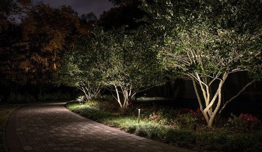 wilmington landscape lighting tree uplighting