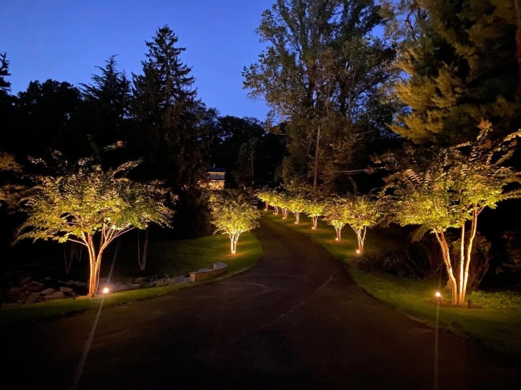 landscape-lighting-near-me-8.jpg